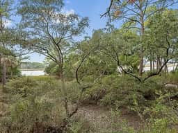 New rental in one of Kiawah's most popular areas - Image 2
