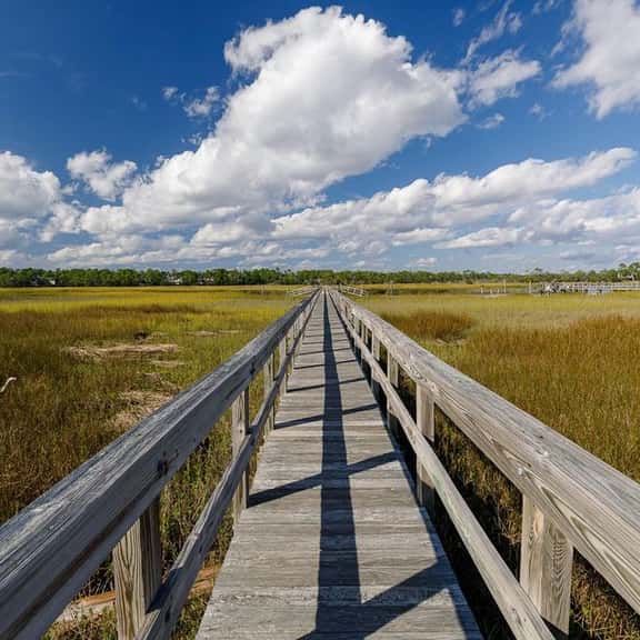 Private dock, amazing river views! - Image 1